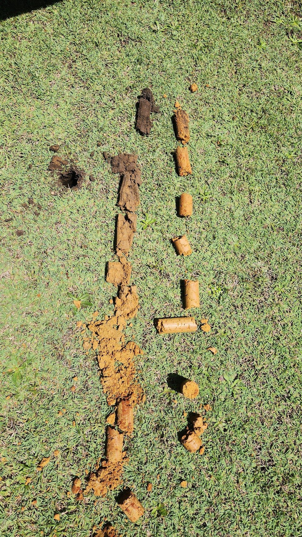 Undisturbed soil core samples laid out after drilling